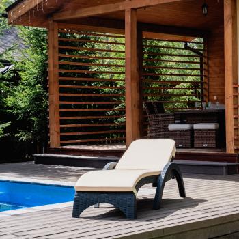 Пластиковый шезлонг ROYAL FAMILY MARK (с матрасом)