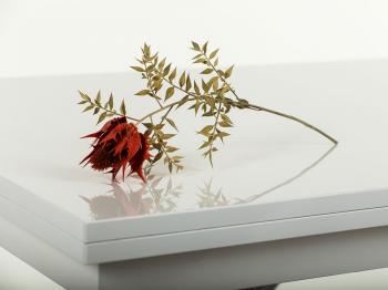 Стол-трансформер Левмар Slide G15/S95 Белый глянец/ опоры сатинированная сталь