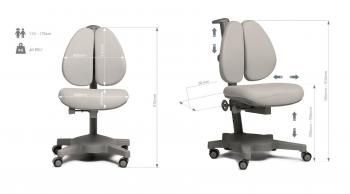 Комплект FUN DESK парта Amare II + кресло Brassica