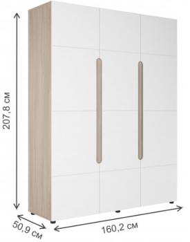 Шкаф Woodville Данк ШК-011