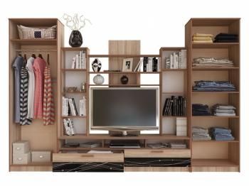 Гостиная BTS Багира