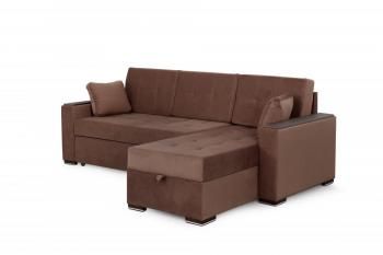 мора темно-коричневый