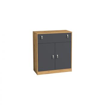 Дуб золотистый/Графит