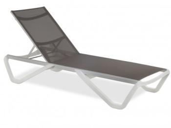 Белый, Тортора