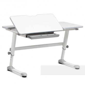 Парта-трансформер для школьника FUN DESK Trovare