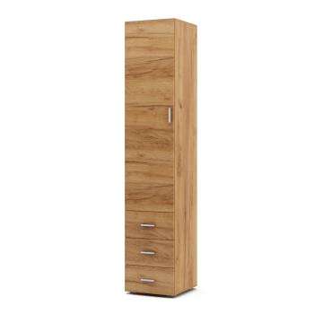 Дуб-золотистый