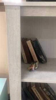 Шкаф-стелаж низкий Ижмебель Твист 08