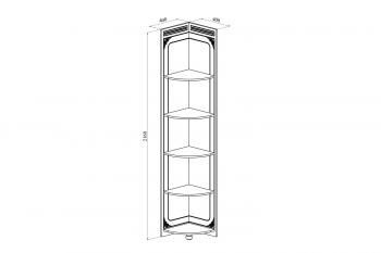 Стеллаж угловой Компасс (Compass) АС-54 плюс