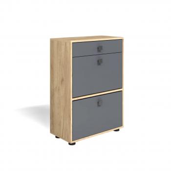 Дуб золотой крафт/Серый графит