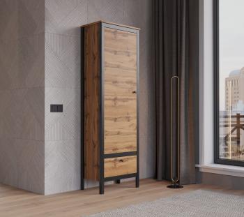 Шкаф БРВ Мебель LOFT REG1D1S