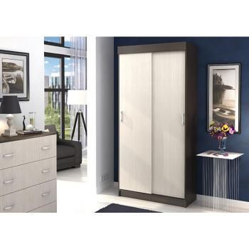 Шкаф-купе Ника Евро