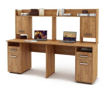 Дуб золотистый