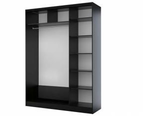 Шкаф-купе 2-х дв. Столлайн Байкал-2 СТЛ.268.12