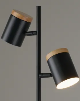 Торшер Moderli V11287-2F Asheswood