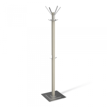 Дуб белёный